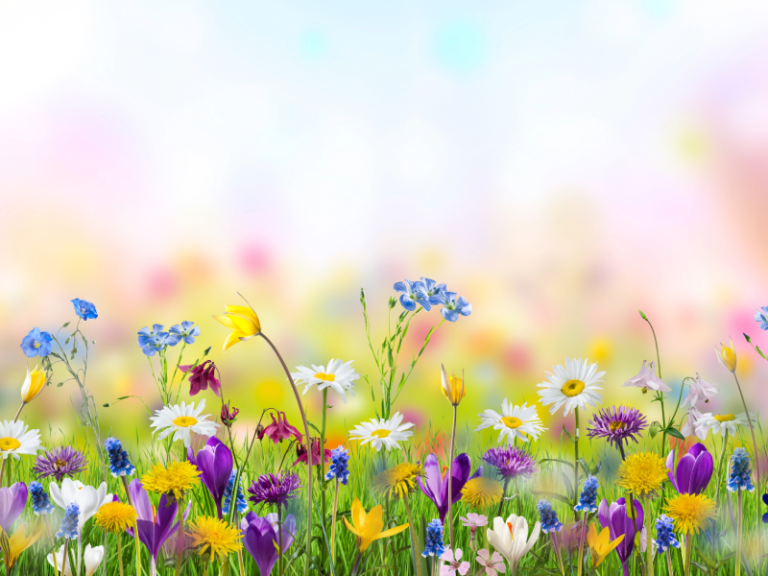 凡事都需要適當的時間觀察