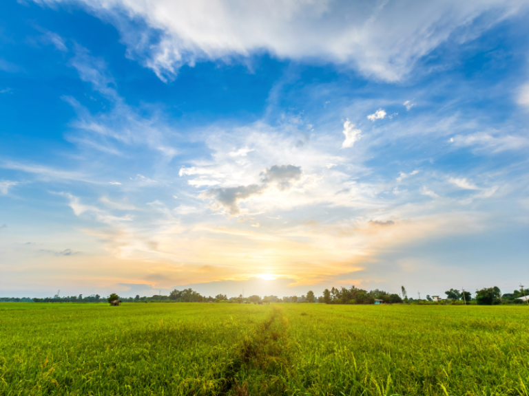 天空要塌下來了